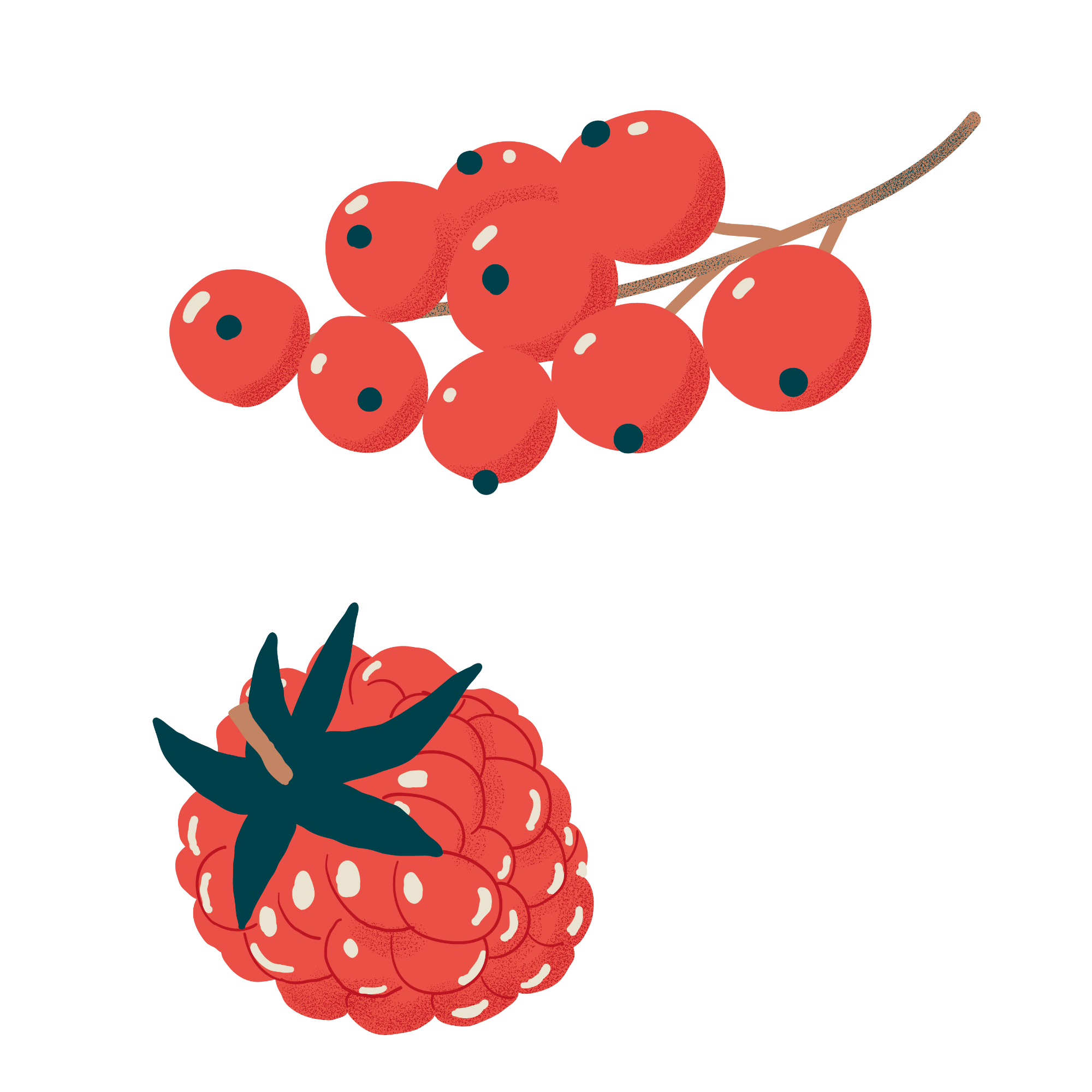 Fruits rouges