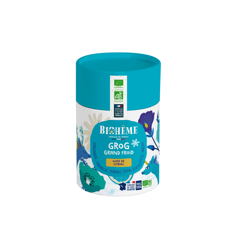 Infusion Grog Grand Froid bio