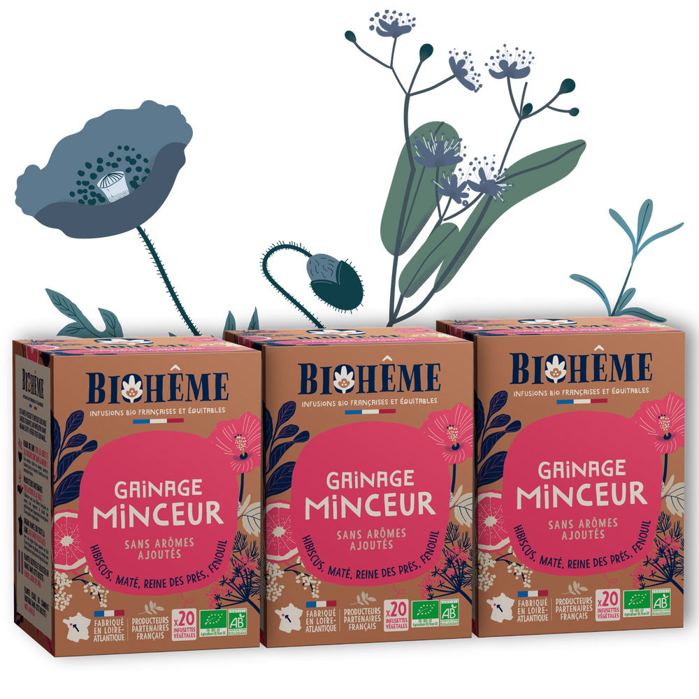 Cure Gainage Minceur bio