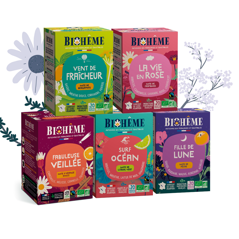 Rituel d'infusions Fraîcheur d'été bio