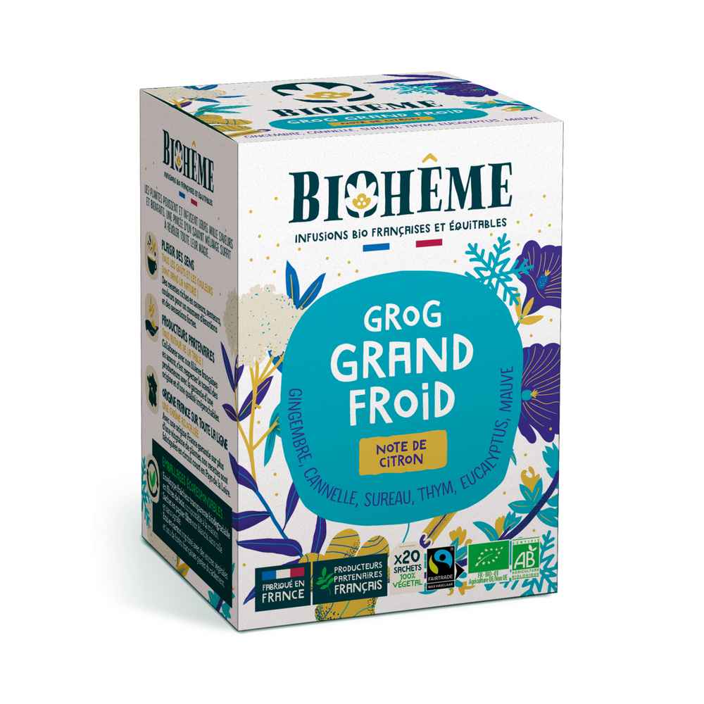 Infusion Grog Grand Froid bio