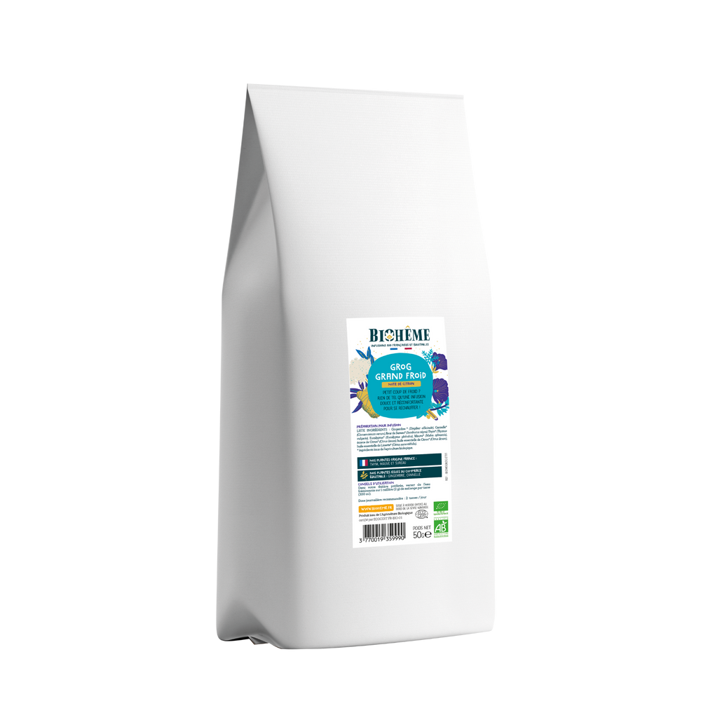 Infusion Grog Grand Froid bio